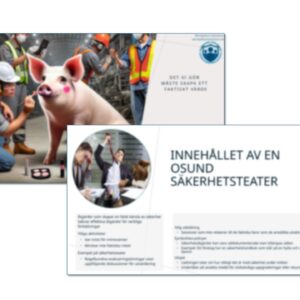 Säkerhetskultur vs säkerhetsteater – En kritisk genomgång av verklig säkerhet kontra symboliska åtgärder