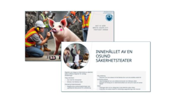 Säkerhetskultur vs säkerhetsteater – En kritisk genomgång av verklig säkerhet kontra symboliska åtgärder (GRATIS)